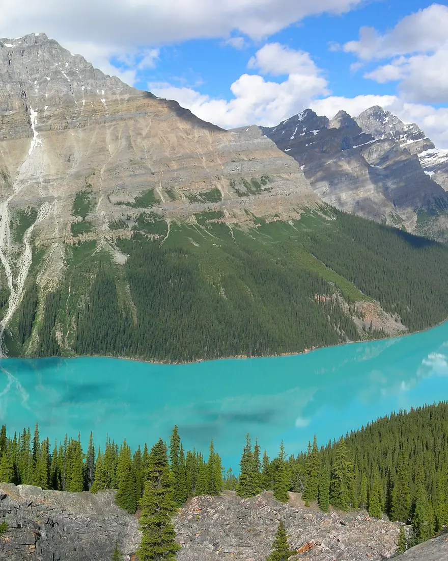 Turquoise Peyto Lake in Banff National Park