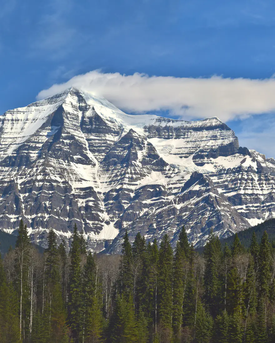 Snow on Mount Robson above the forest in the Canadian Rockies, British Columbia