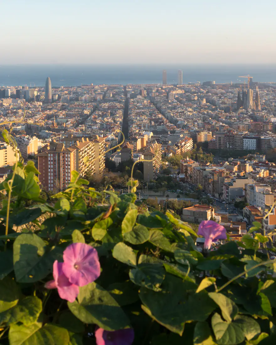 Barcelona stretching to the sea, seen from Bunkers del Carmel