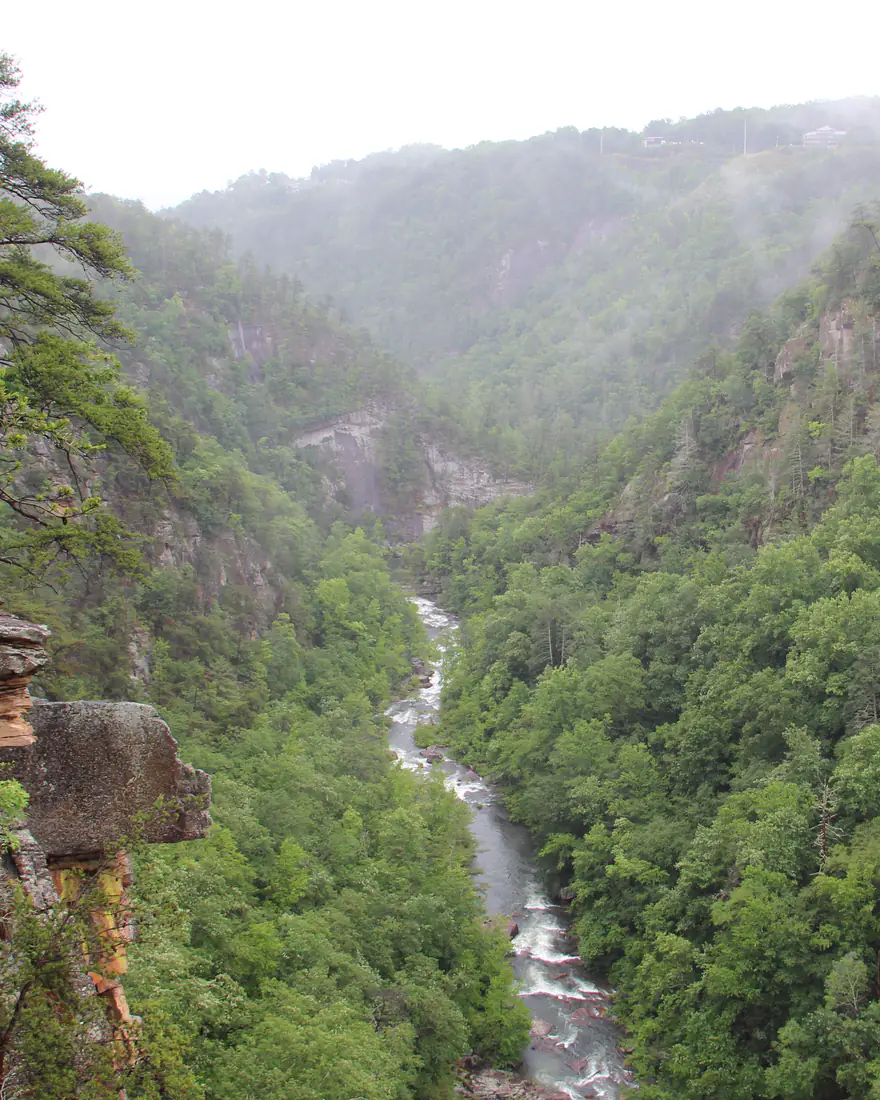 Tallulah Gorge from an overlook in north Georgia