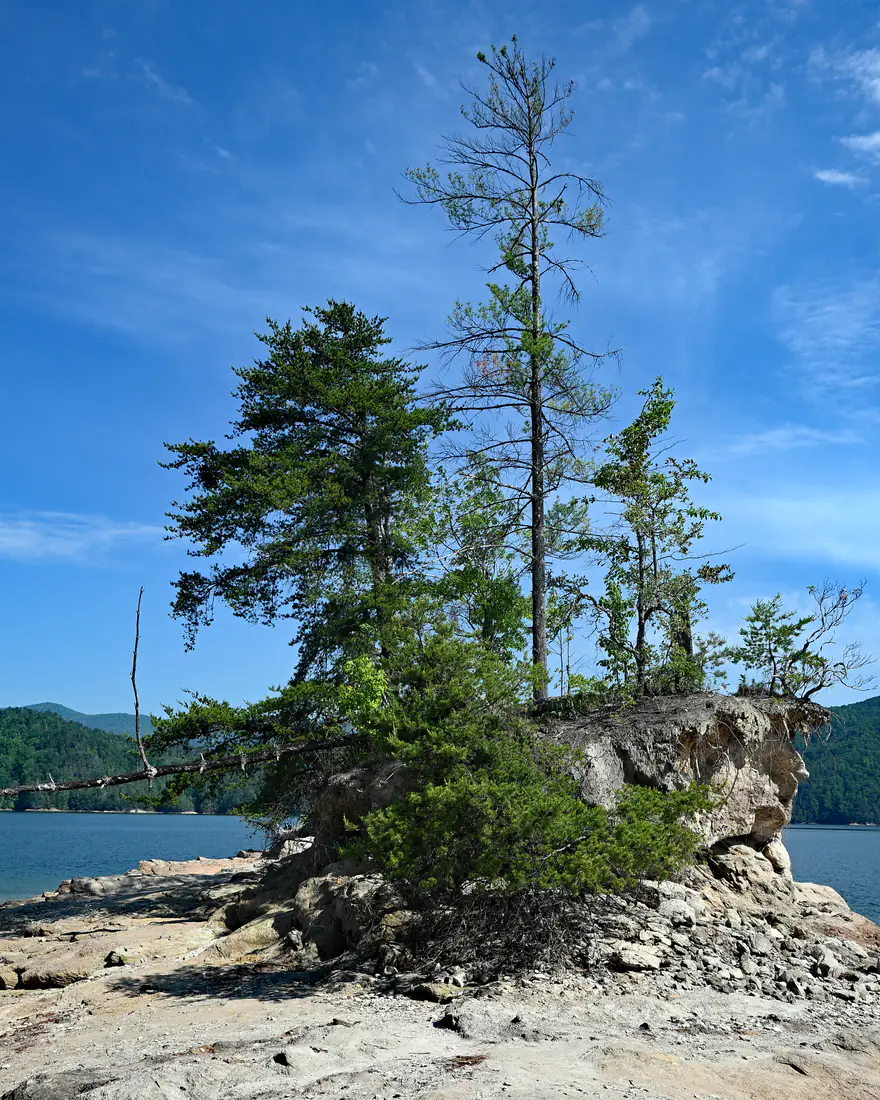 A tree-topped rock island on Lake Jocassee