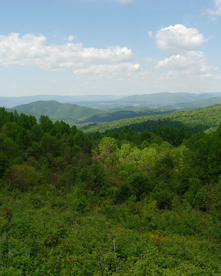 The Blue Ridge from the Eaton Hollow Overlook on Skyline Drive, Shenandoah